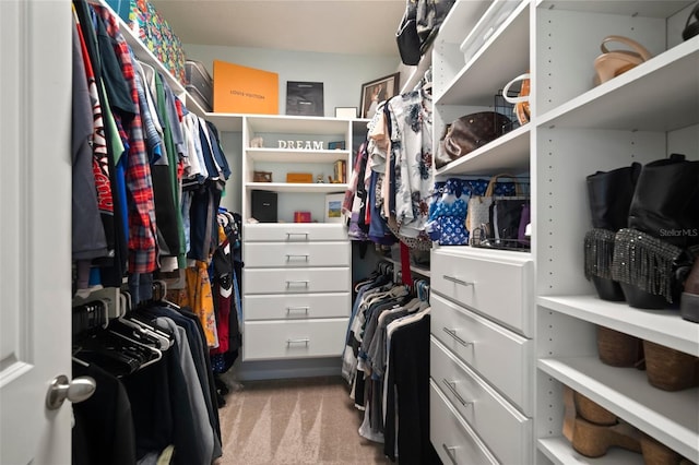 walk in closet with light colored carpet