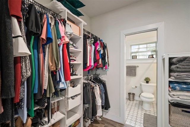 view of walk in closet