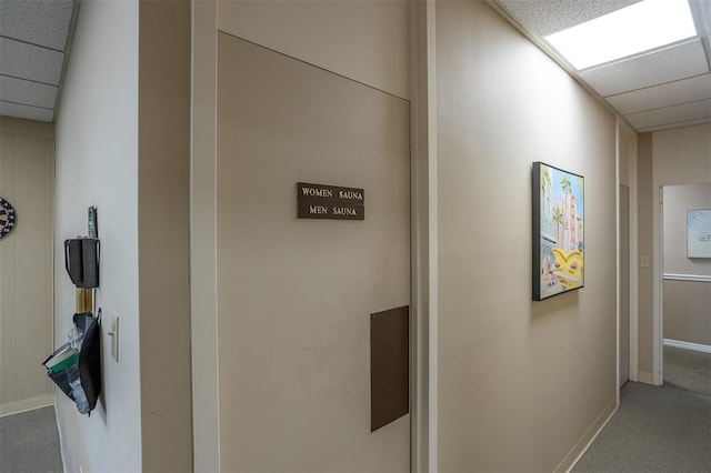30 Turner St Unit 202, Clearwater, FL 33756 - hallway featuring a drop ceiling, carpet flooring, and baseboards