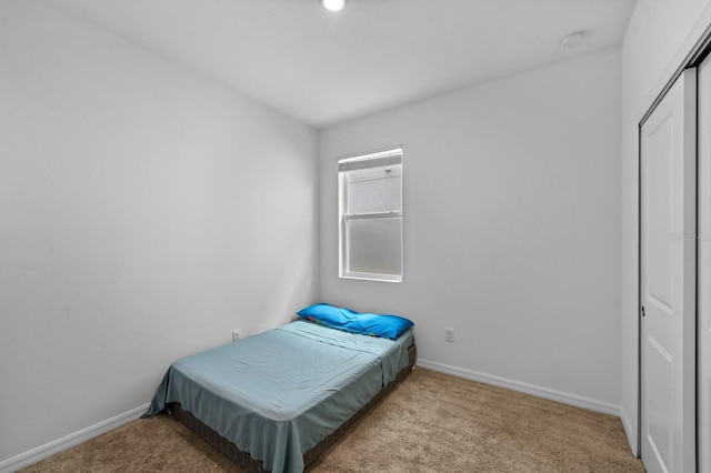 11819 Brighton Knoll Loop, Riverview, FL 33579 - bedroom featuring carpet floors and baseboards