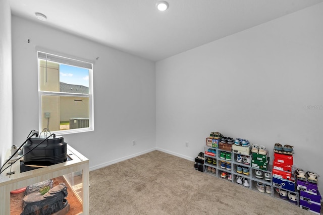 11819 Brighton Knoll Loop, Riverview, FL 33579 - recreation room with carpet floors and baseboards