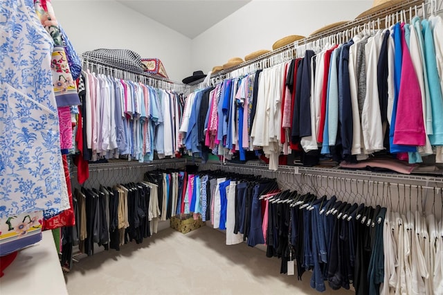 spacious closet featuring carpet