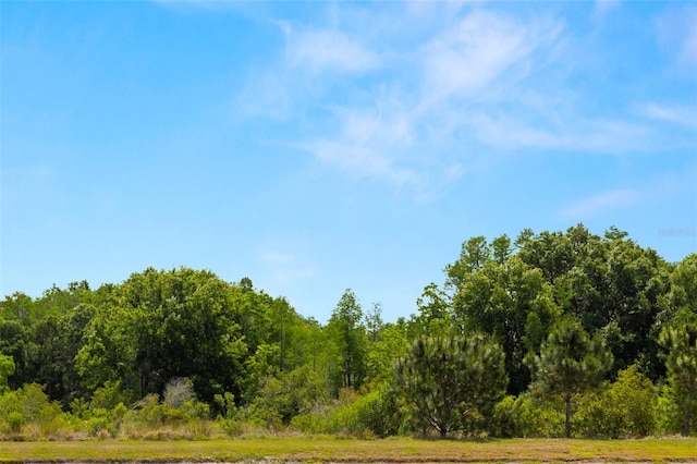 view of landscape featuring a forest view