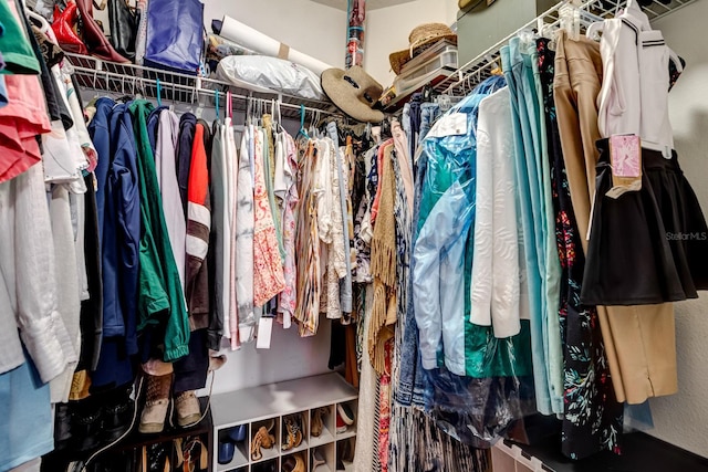 view of walk in closet