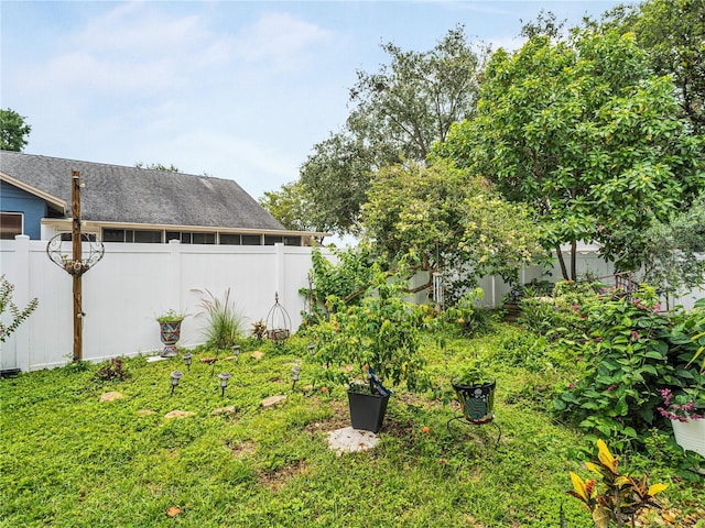 1424 Ridge Shore Dr, Tarpon Springs, FL 34689 - view of yard