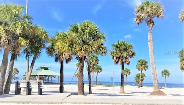 1424 Ridge Shore Dr, Tarpon Springs, FL 34689 - surrounding community with a gazebo and a water view