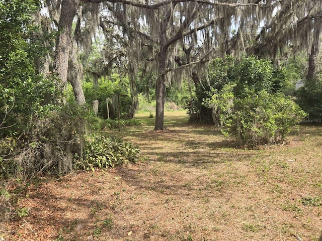 917 Adamson Ct, Lake Alfred, FL 33850 - view of undeveloped land