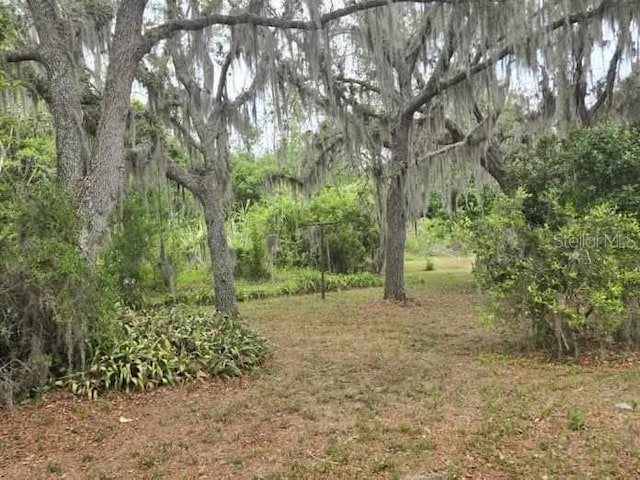 917 Adamson Ct, Lake Alfred, FL 33850 - view of local wilderness