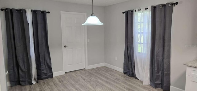 917 Adamson Ct, Lake Alfred, FL 33850 - unfurnished dining area featuring light wood-style floors and baseboards