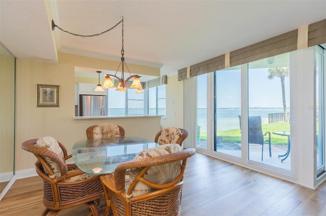 dining room with wood finished floors, a notable chandelier, and a healthy amount of sunlight