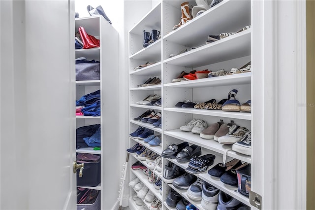 view of walk in closet
