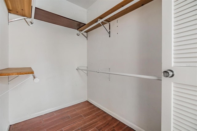 4002 Cypress Ct Unit 4002, Tampa, FL 33618 - walk in closet with dark wood-style flooring