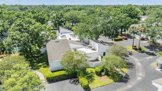 4002 Cypress Ct Unit 4002, Tampa, FL 33618 - aerial view with a forest view