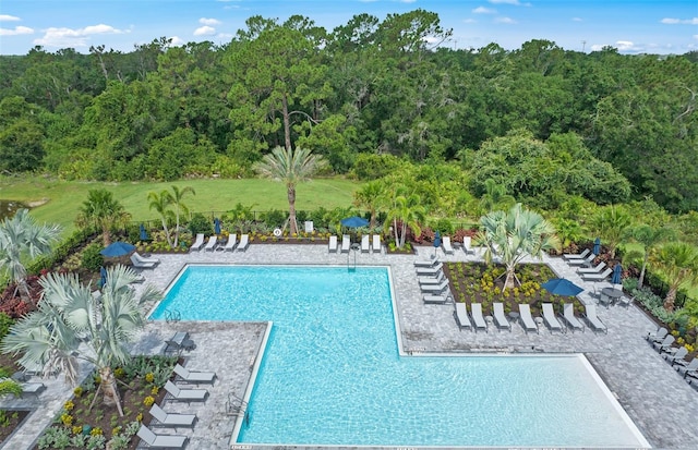 pool featuring a patio area and a wooded view