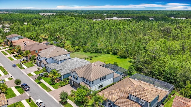 18203 Pine Hammock Blvd, Lutz, FL 33548 - aerial view of residential area with a forest