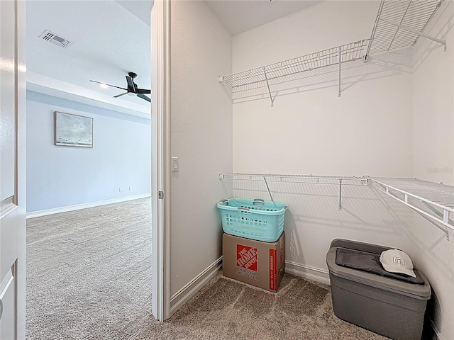 18203 Pine Hammock Blvd, Lutz, FL 33548 - spacious closet with carpet flooring and a ceiling fan