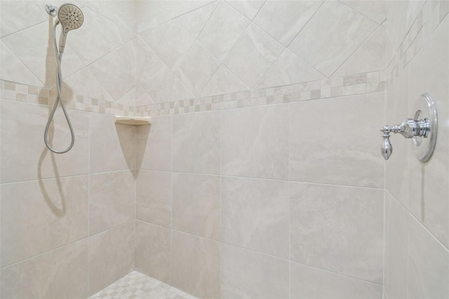1326 Apollo Beach Blvd S, Apollo Beach, FL 33572 - interior details with a tile shower