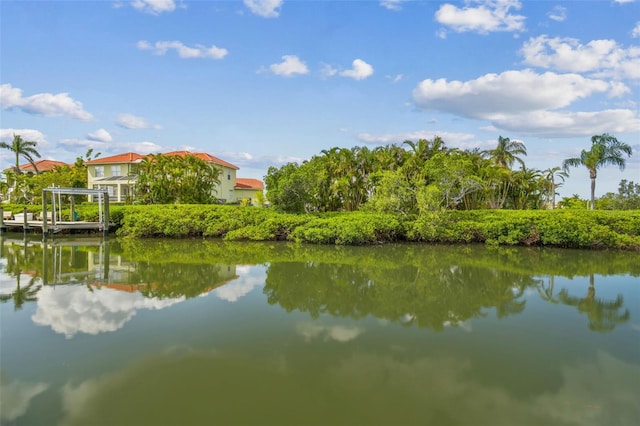 1326 Apollo Beach Blvd S, Apollo Beach, FL 33572 - property view of water