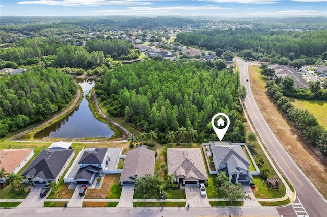 3046 Donington Castle Ln, Land O Lakes, FL 34638 - aerial view of residential area featuring a heavily wooded area and a large body of water