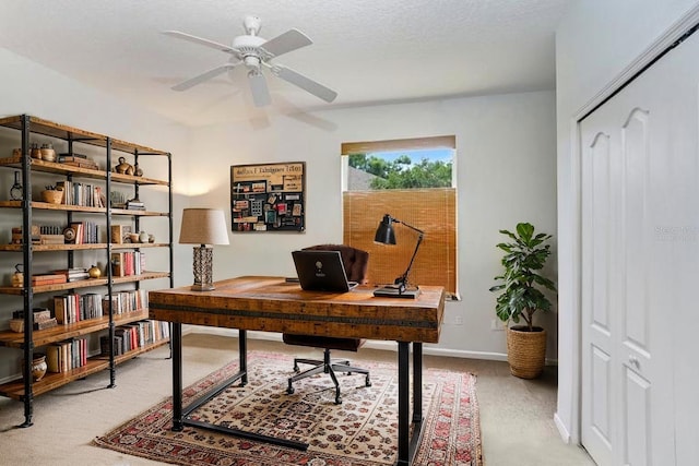 808 Hickory Glen Dr, Seffner, FL 33584 - home office with light colored carpet and ceiling fan