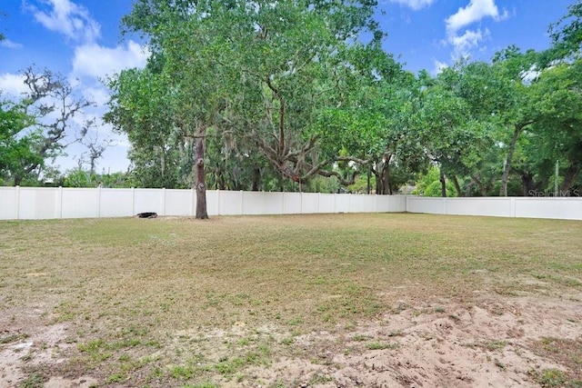 808 Hickory Glen Dr, Seffner, FL 33584 - view of yard