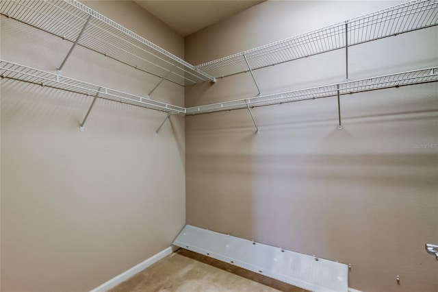 spacious closet with carpet