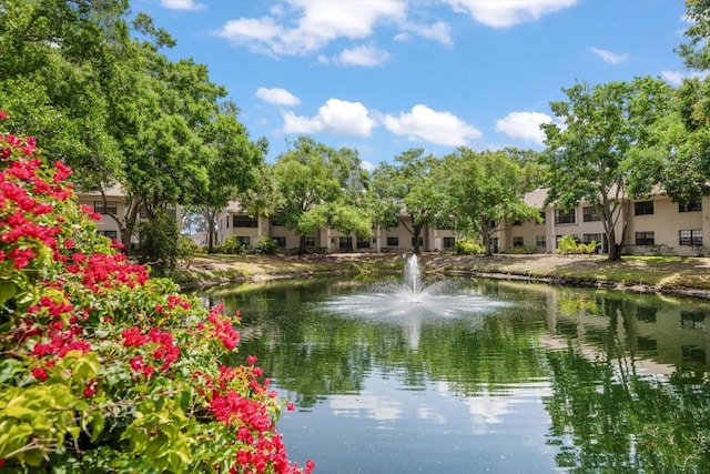 2170 Elm St Unit 906, Dunedin, FL 34698 - property view of water