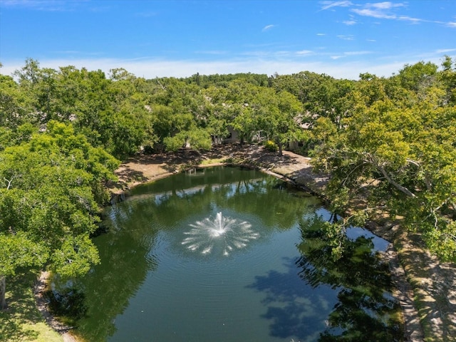 2170 Elm St Unit 906, Dunedin, FL 34698 - property view of water with a wooded view