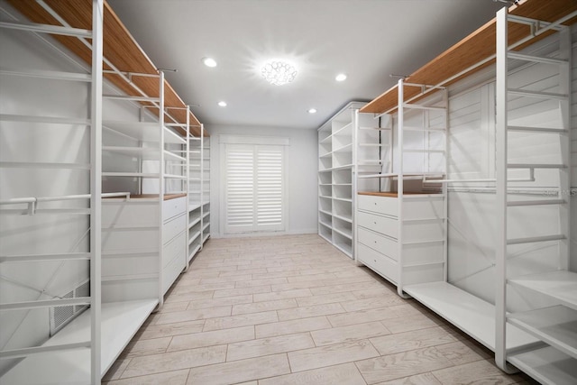 view of spacious closet