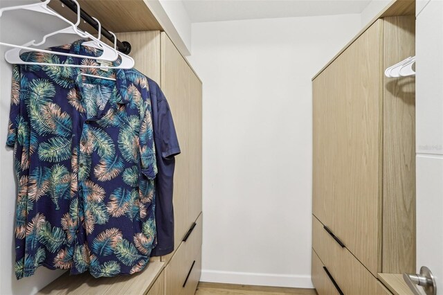spacious closet featuring light wood-style floors