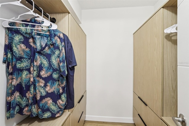 2615 Cove Cay Dr Unit 409, Clearwater, FL 33760 - spacious closet featuring light wood-type flooring