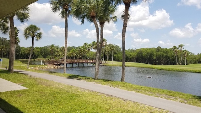 2615 Cove Cay Dr Unit 409, Clearwater, FL 33760 - water view with a tree filled landscape