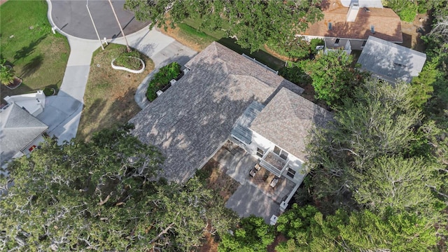 bird's eye view