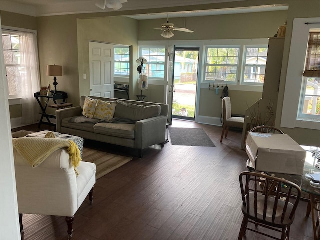 41 W Boyer St, Tarpon Springs, FL 34689 - living room featuring wood finished floors, a ceiling fan, and baseboards