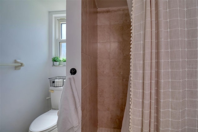 506 Summerwood Ct, Tarpon Springs, FL 34689 - full bathroom with tiled shower and toilet