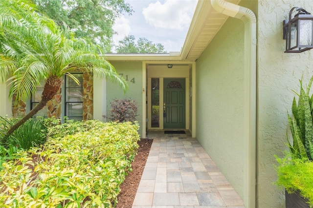 3714 Village Estates Pl, Tampa, FL 33618 - property entrance with stucco siding