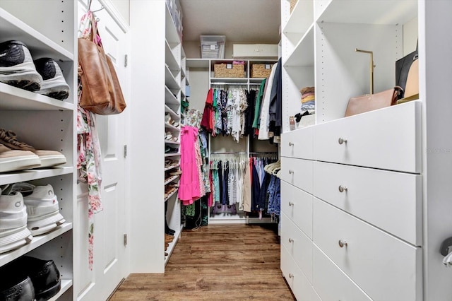 walk in closet featuring wood finished floors