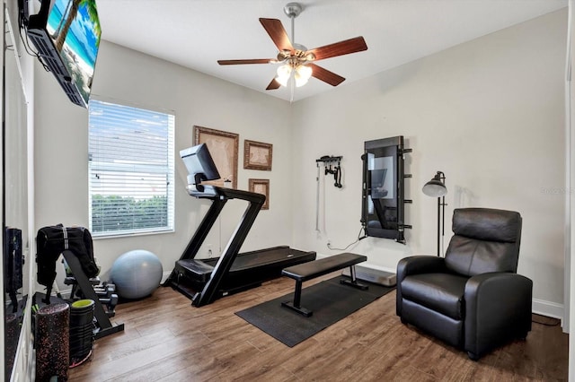 workout area featuring baseboards, ceiling fan, and wood finished floors