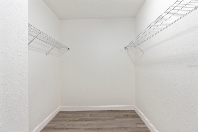 14404 SW 19th Pl, Ocala, FL 34481 - walk in closet with wood finished floors