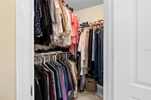 view of spacious closet