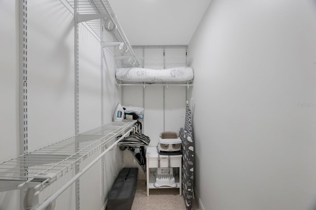 view of walk in closet