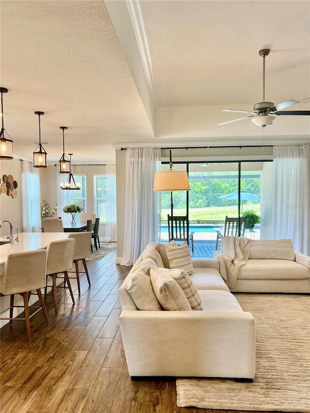 2653 Longleaf Pine Pt, New Port Richey, FL 34655 - living room featuring ornamental molding, wood finished floors, ceiling fan, and a textured ceiling