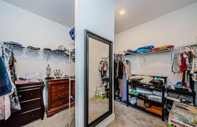2653 Longleaf Pine Pt, New Port Richey, FL 34655 - spacious closet with carpet floors