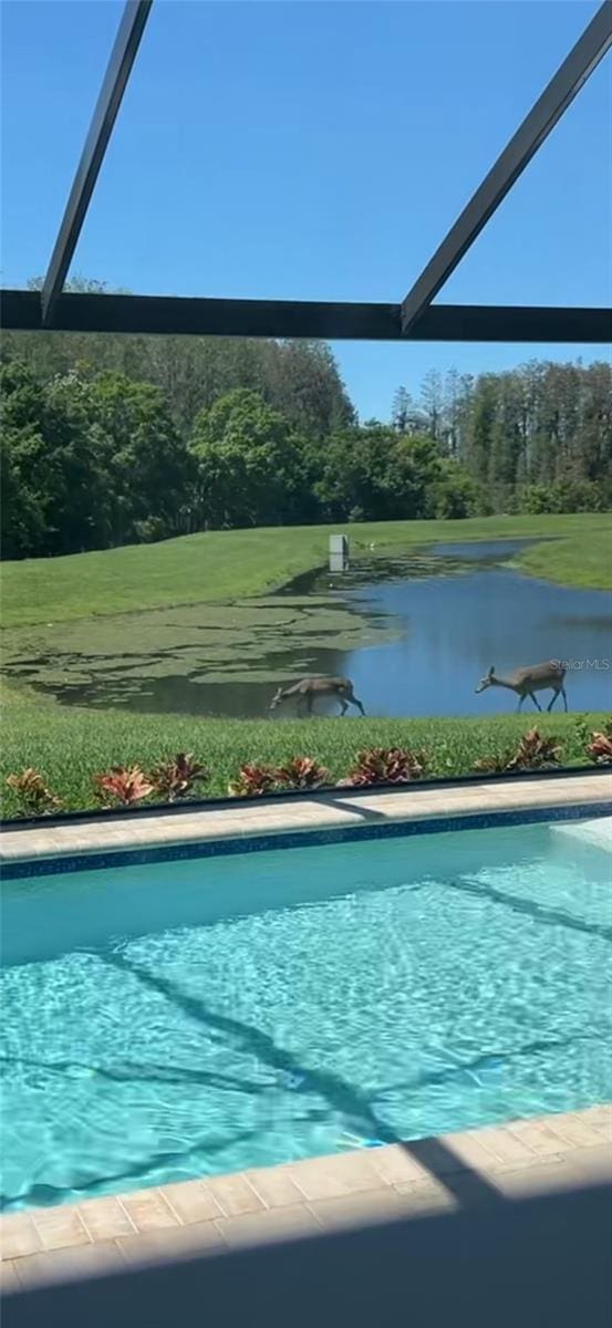 2653 Longleaf Pine Pt, New Port Richey, FL 34655 - outdoor pool featuring a water view