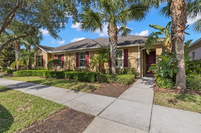 11308 Temperley Pl, Tampa, FL 33625 - photo 3