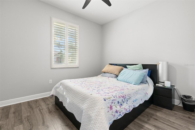 11308 Temperley Pl, Tampa, FL 33625 - photo 24