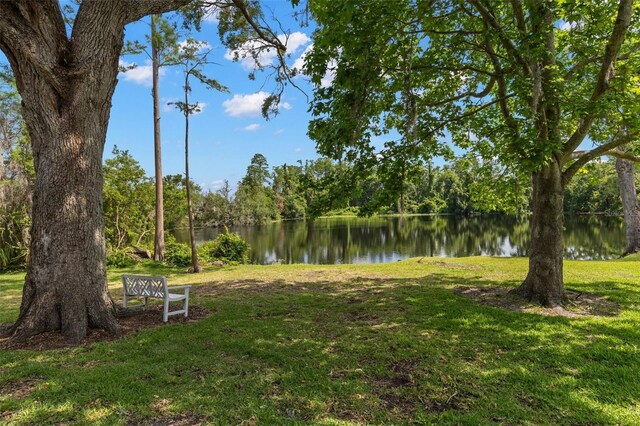 11308 Temperley Pl, Tampa, FL 33625 - photo 36