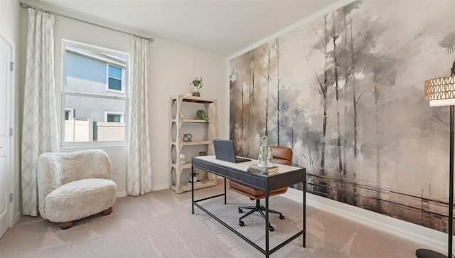 office area featuring baseboards and carpet flooring