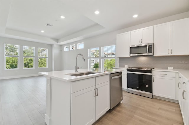 4717 W Mccoy St Unit 2, Tampa, FL 33616 - kitchen featuring stainless steel appliances, a sink, a tray ceiling, light countertops, and light wood finished floors