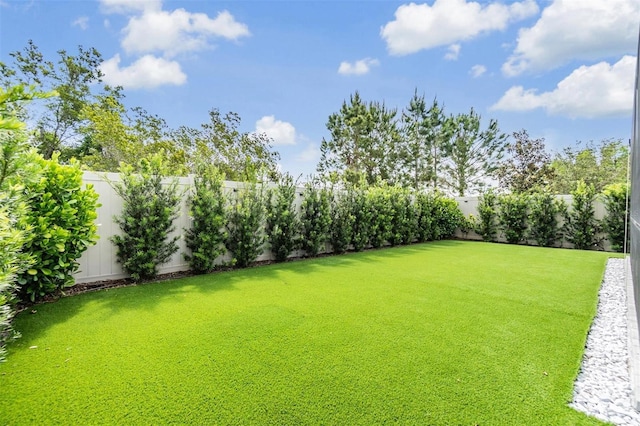 view of yard featuring a fenced backyard
